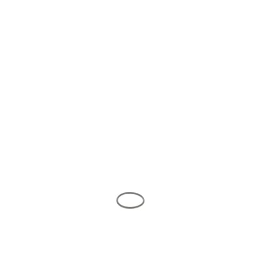 237958081.jpg