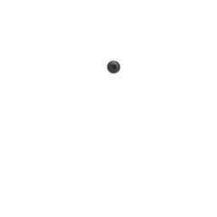 237958100.jpg
