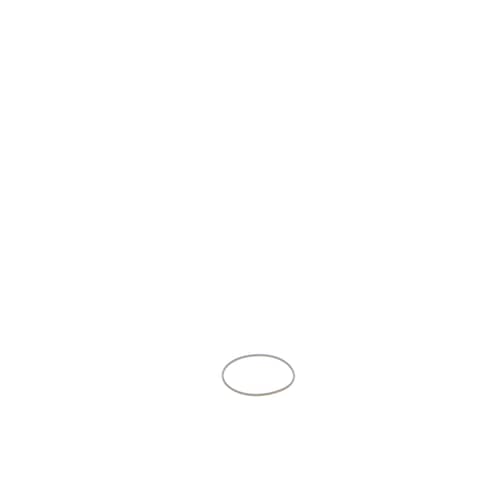 237958151.jpg
