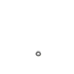 237958309.jpg