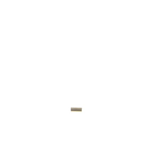 237958636.jpg