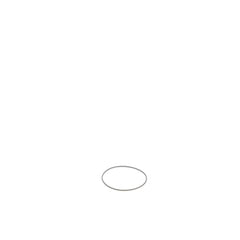 237958836.jpg