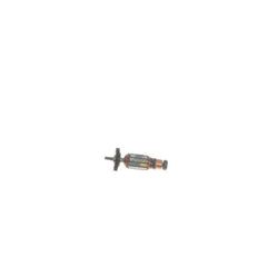 237958845.jpg