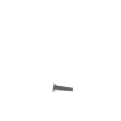 237959034.jpg