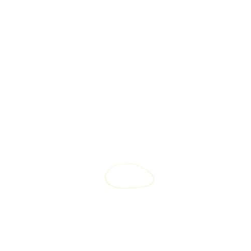 237960579.jpg