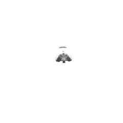 237960675.jpg