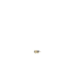 237960942.jpg
