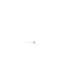 237960971.jpg