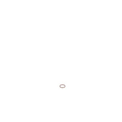237960995.jpg