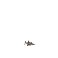 237962198.jpg