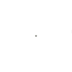 238542034.jpg