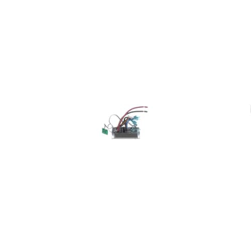 238543336.jpg