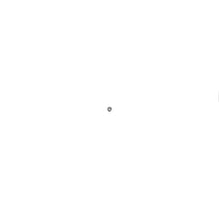 238548192.jpg
