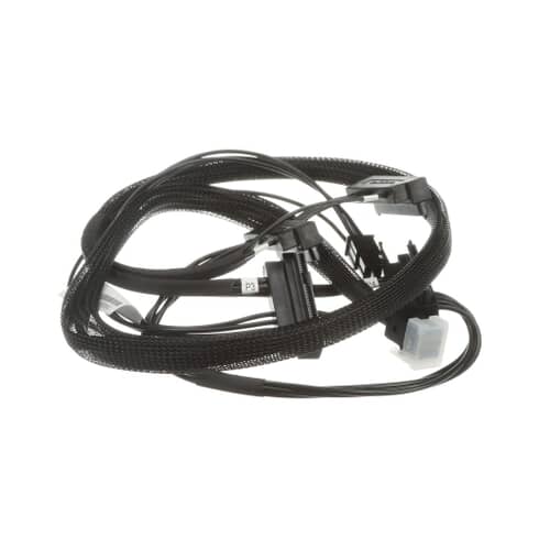 239050829.jpg