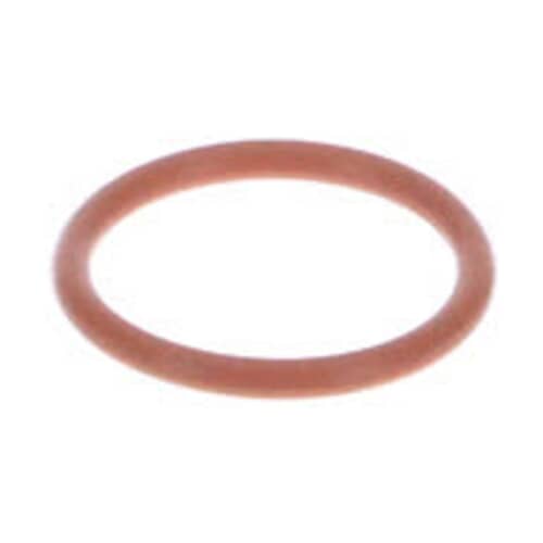 239054861.jpg