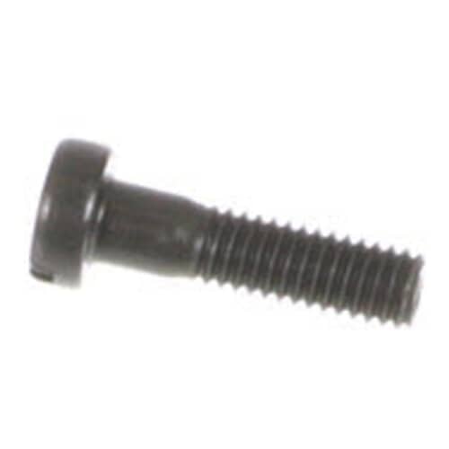 239055407.jpg