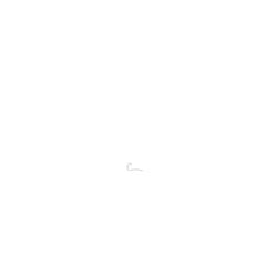 239245081.jpg