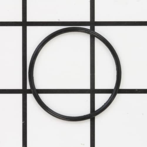 239246180.jpg
