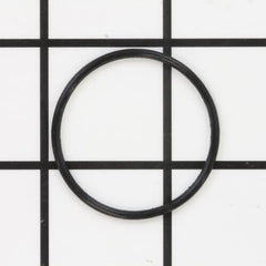 239246180.jpg