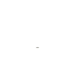 239246236.jpg