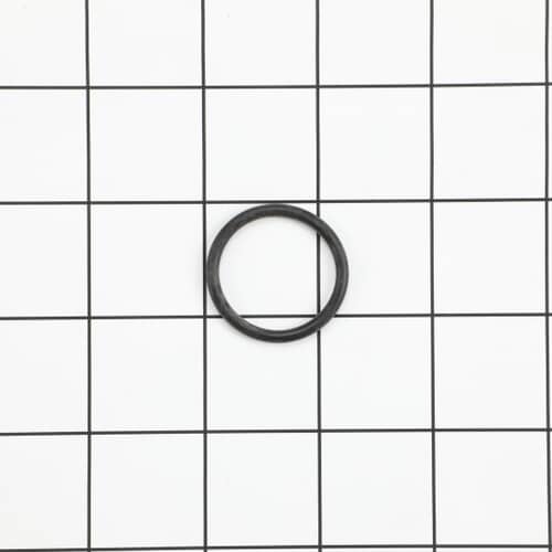 239246384.jpg