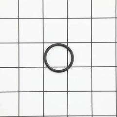 239246384.jpg