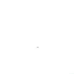239246573.jpg