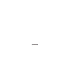239246669.jpg