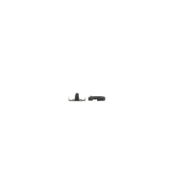 239246831.jpg