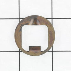 239246923.jpg
