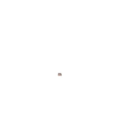 239247052.jpg