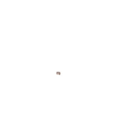 239247053.jpg