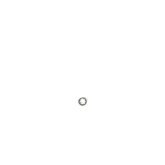 239247495.jpg