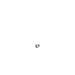 239247496.jpg