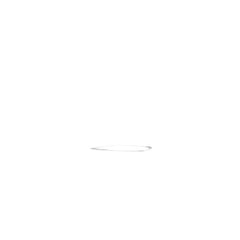 239247688.jpg