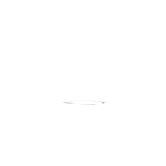 239247689.jpg