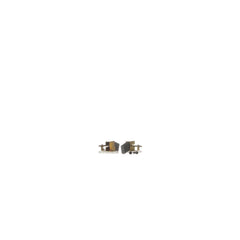 239248040.jpg