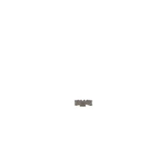 239248611.jpg