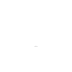 239249227.jpg
