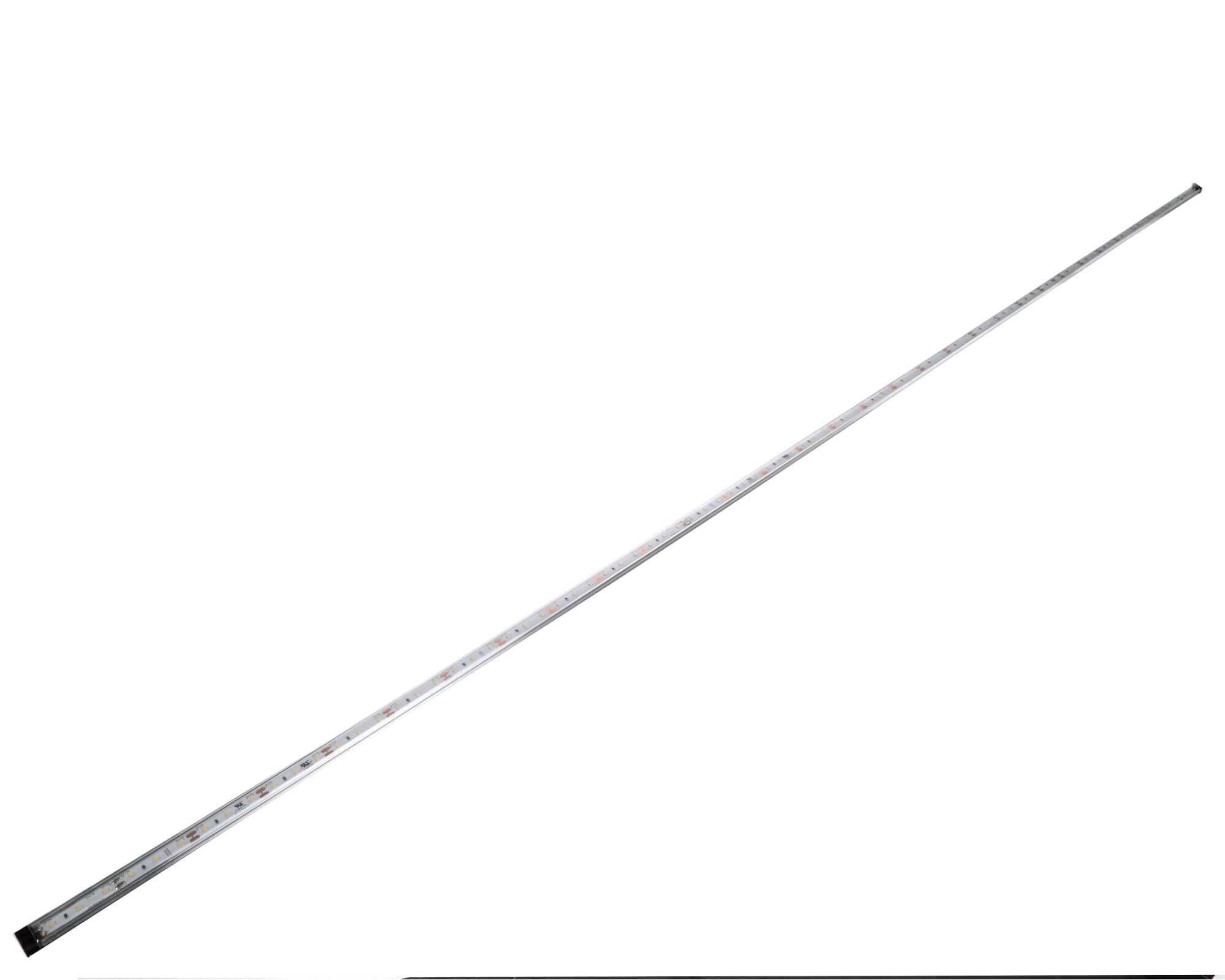 239400235.jpg