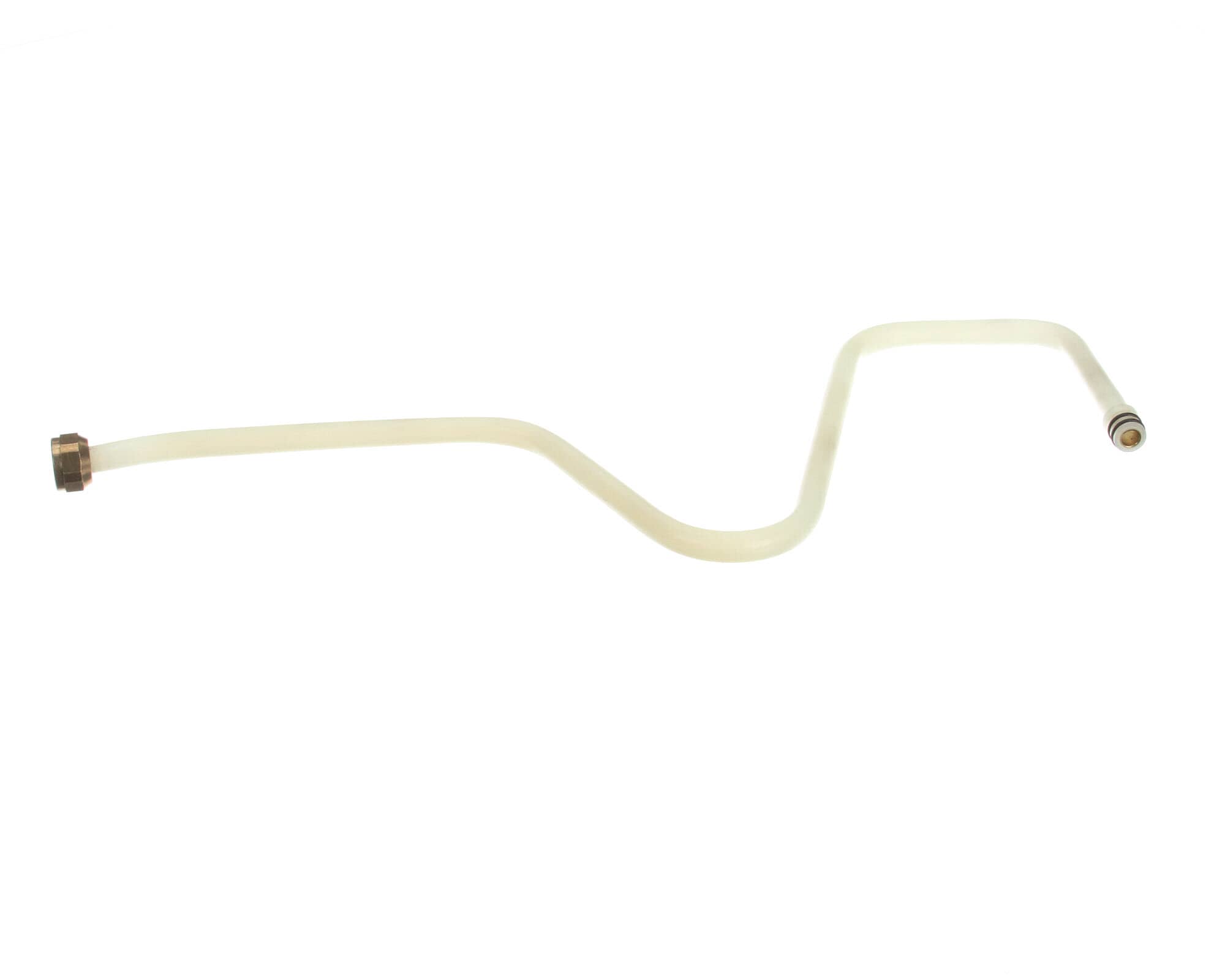 239406544.jpg