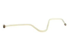239406544.jpg