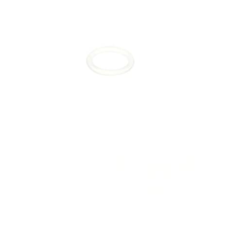 239409759.jpg