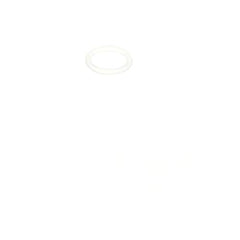 239409759.jpg
