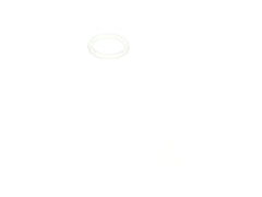 239409760.jpg