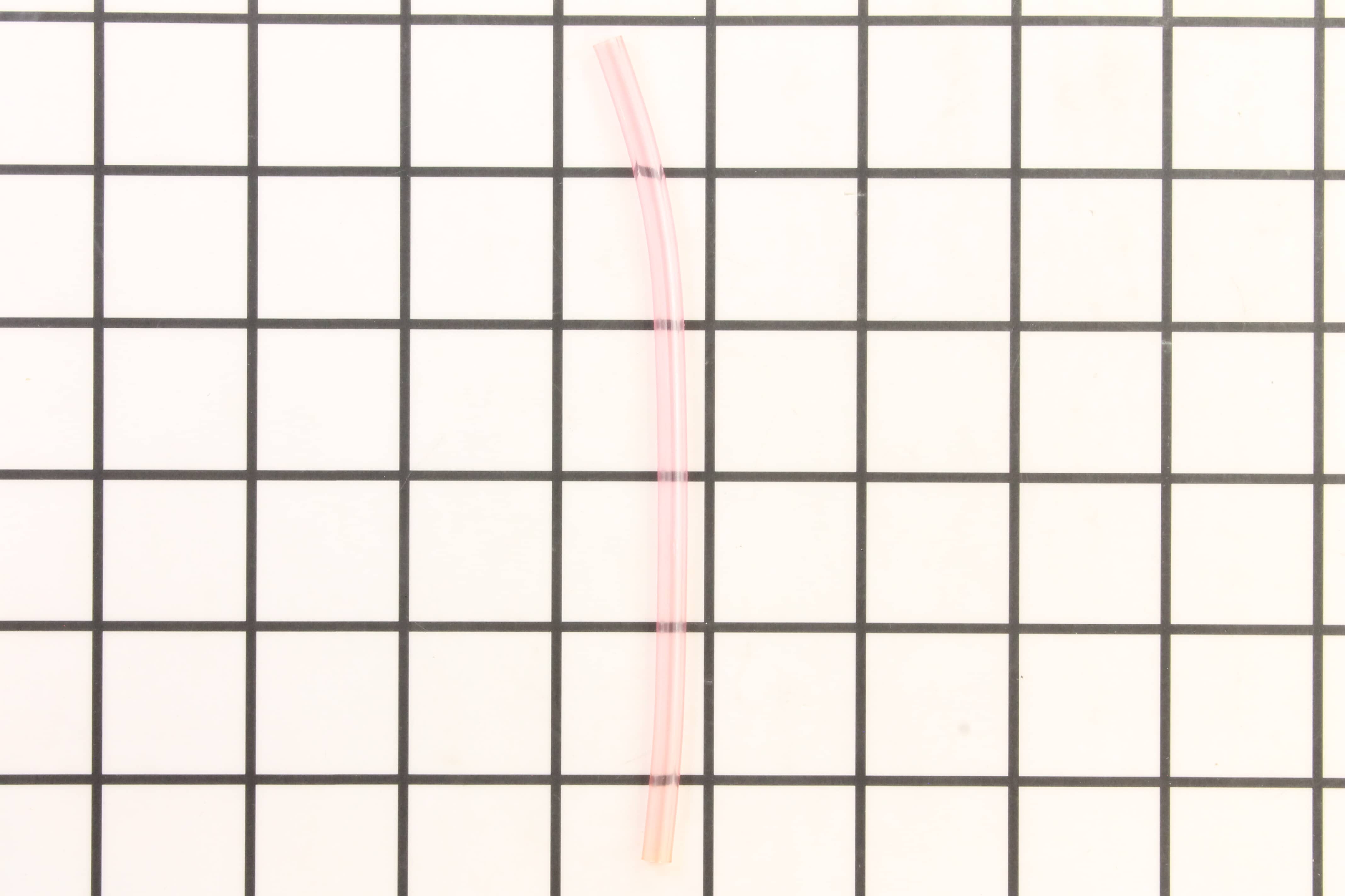 239444961.jpg