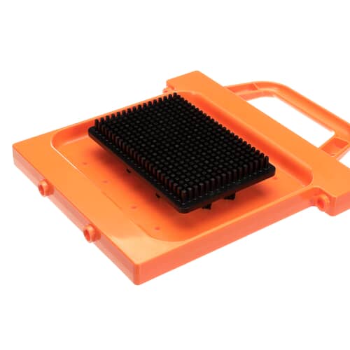 239448308.jpg