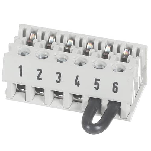 239450096.jpg