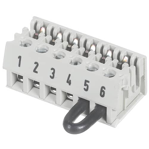 239450097.jpg