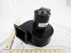 239978209.jpg